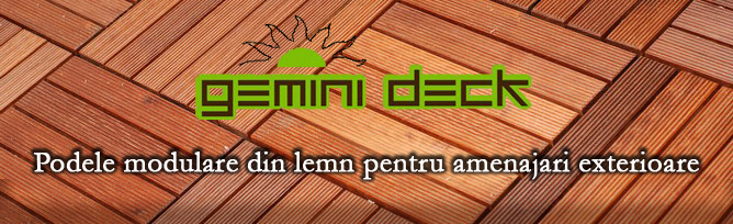 20090727085547_Gemini Deck.jpg