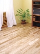 Boxler Stabeco