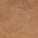 20120313065530_Pardosea-de-pluta-Mocha-H.jpg