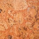 Lambriu-de-pluta-Tenerife-Red.jpg